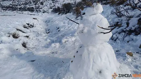 sanabria peces fr&iacute;o_49