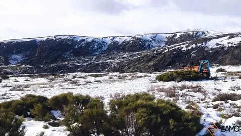 sanabria peces fr&iacute;o_55