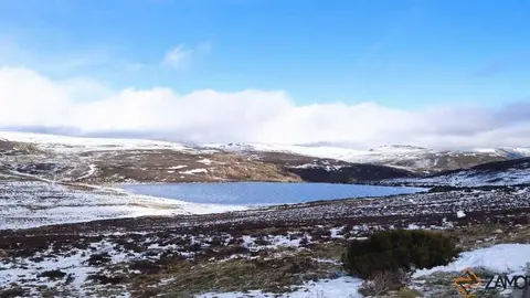 sanabria peces fr&iacute;o_56