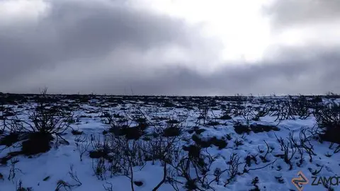 sanabria peces fr&iacute;o_57