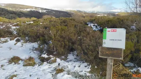 sanabria peces fr&iacute;o_61