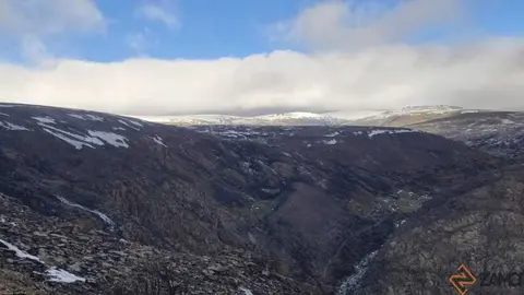 sanabria peces fr&iacute;o_67