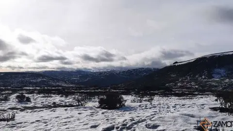 sanabria peces fr&iacute;o_68