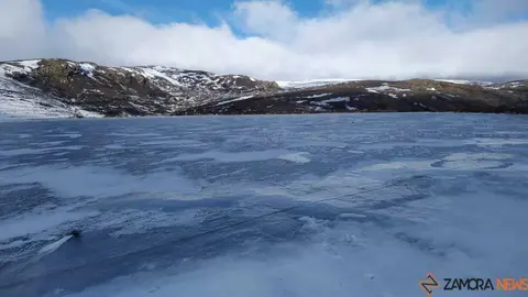 sanabria peces fr&iacute;o_72