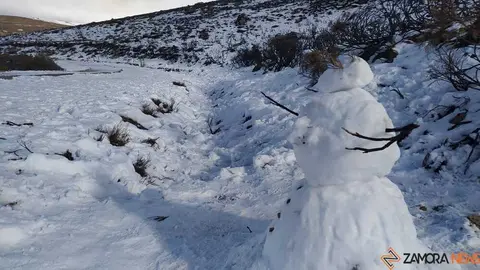 sanabria peces fr&iacute;o_73