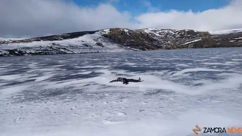 sanabria peces fr&iacute;o_79