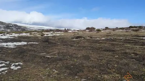 sanabria peces fr&iacute;o_81