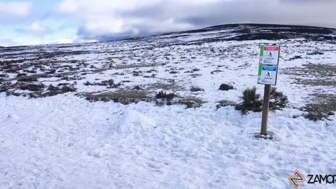 sanabria peces fr&iacute;o_82