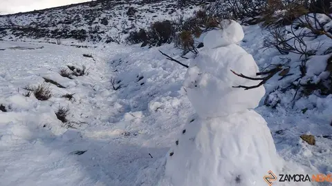 sanabria peces fr&iacute;o_87