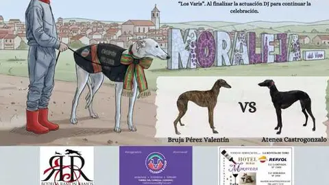 Final Copa de Galgos Zamora