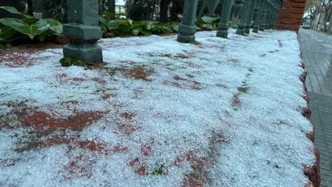 Nieve en Zamora y provincia _5