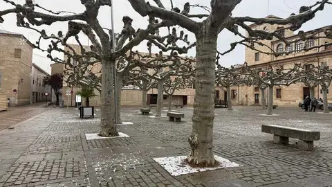 Nieve en Zamora y provincia _7