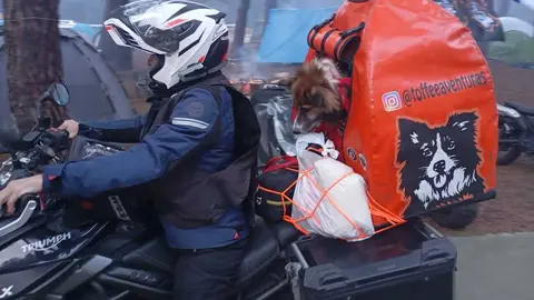 La Leyenda. Segovia  (3)