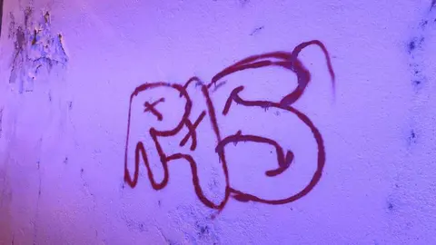 Pintadas en la muralla Zamora (3)