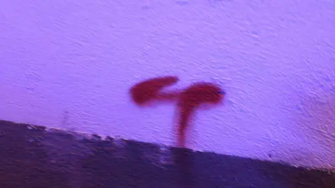 Pintadas en la muralla Zamora (4)