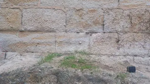 Limpian las pintadas en la muralla Zamora (1)