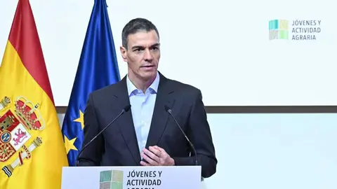 Pedro S&aacute;nchez. Imagen Qcom.es