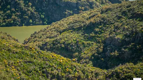 Furaco los Fornicos. Cantera lAzos por la vida
