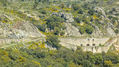 La machacadora. Lazos por la vida