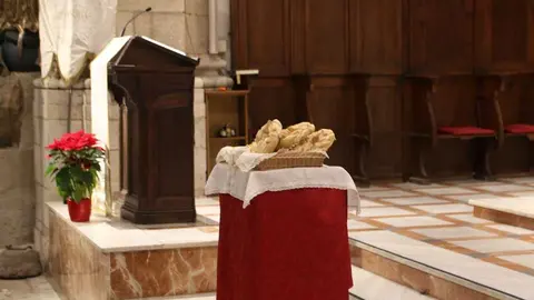 Imposici&oacute;n de Medallas Cofrad&iacute;a de San Antonio Abad _9