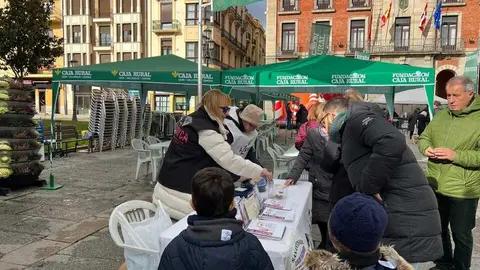 II San Antonada Zamora 