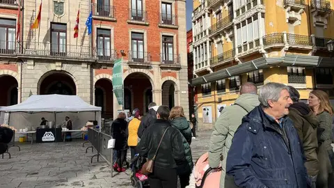 II San Antonada Zamora _3