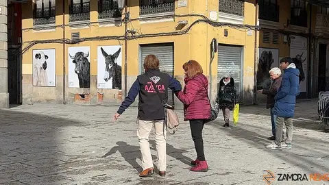 II San Antonada Zamora _35