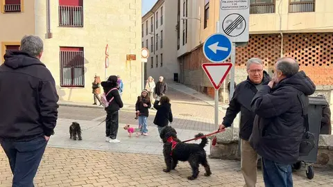 Bendici&oacute;n de los animales Zamora _4