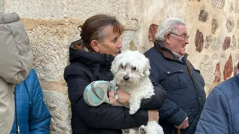 Bendici&oacute;n de los animales Zamora _13