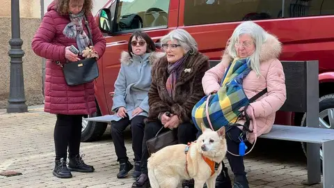 Bendici&oacute;n de los animales Zamora _14