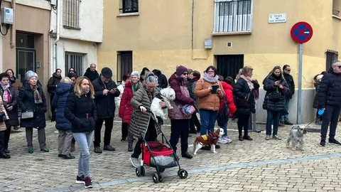 Bendici&oacute;n de los animales Zamora _27