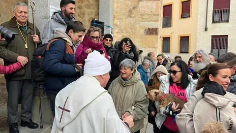 Bendici&oacute;n de los animales Zamora _40