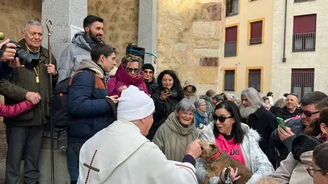 Bendici&oacute;n de los animales Zamora _41