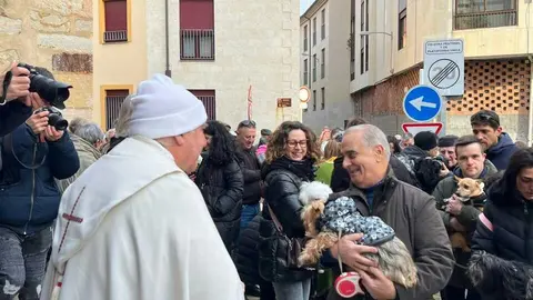 Bendici&oacute;n de los animales Zamora _42