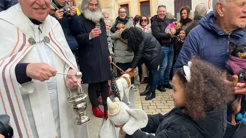 Bendici&oacute;n de los animales Zamora _45