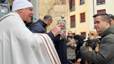 Bendici&oacute;n de los animales Zamora _47