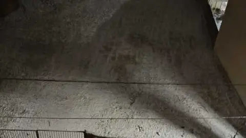 Coches cubiertos por la nieve este s&aacute;bado en Toro