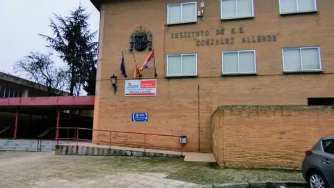 Instituto Gonz&aacute;lez Allende de Toro