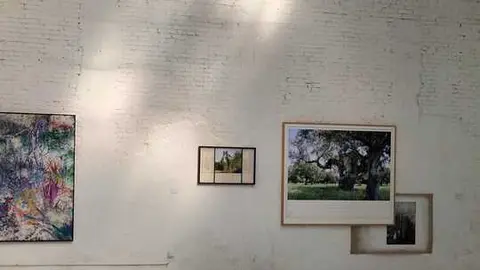 Exposición Morfogénesis en Espacio Argén Madrid (2)