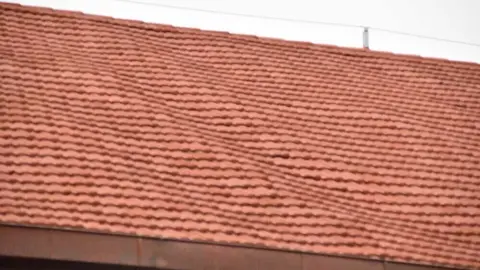 tejado mercado abastos_6