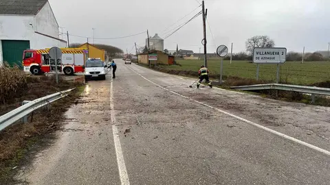 ca&iacute;da de &aacute;rboles en carreteras de la provincia (3)