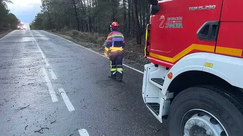 ca&iacute;da de &aacute;rboles en carreteras de la provincia (6)