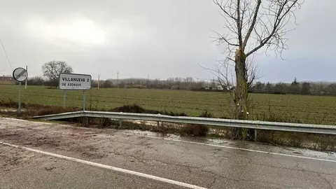 ca&iacute;da de &aacute;rboles en carreteras de la provincia (7)