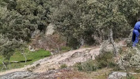 Monte en la zona de Aliste