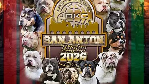 ABKC San Ant&oacute;n Trophy Zamora