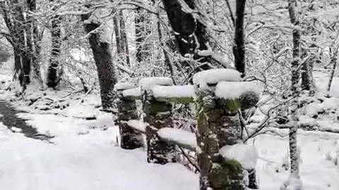 nieve sanabria enero 