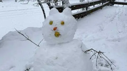 nieve sanabria enero _11