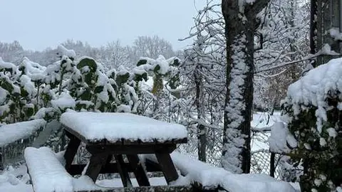 nieve sanabria enero _13