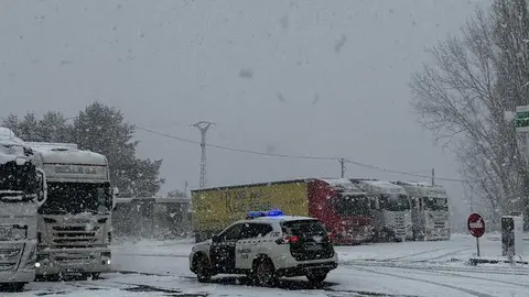 camiones embolsamiento _5