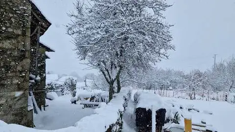 Nieve en Chanos de Sanabria - imagen cedida Jes&uacute;s Guerra